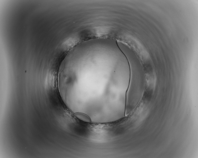 X0000087630527200705101030