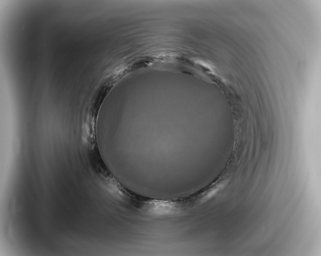 X0000087630528200705101030