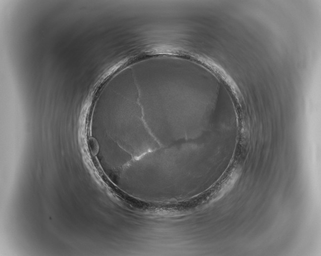 X0000087630529200705101029