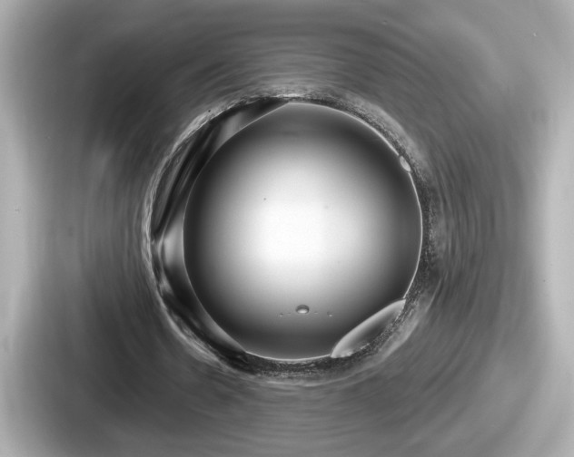 X0000087630530200705101029