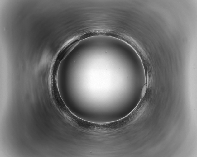 X0000087630531200705101029