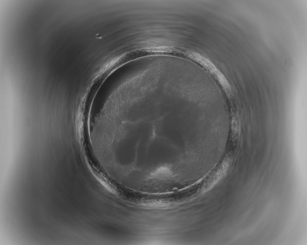 X0000087630533200705101029