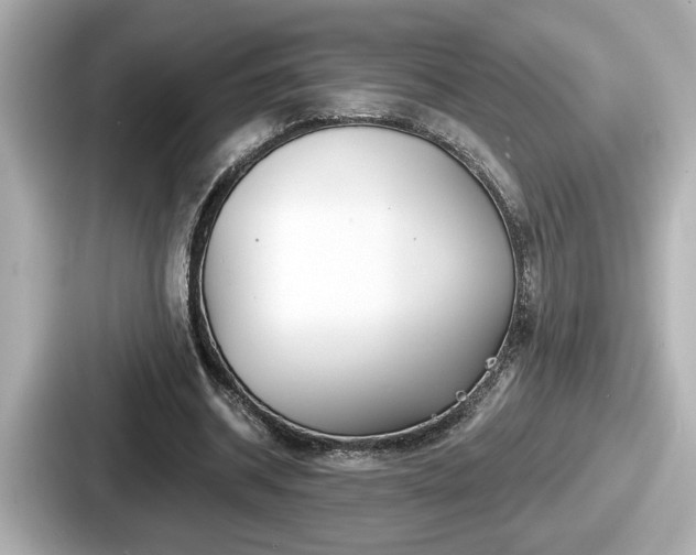 X0000087630534200705101029