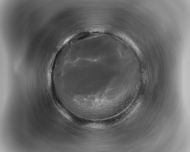 X0000087630537200705101029