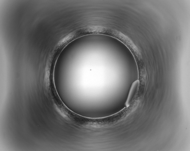 X0000087630538200705101029