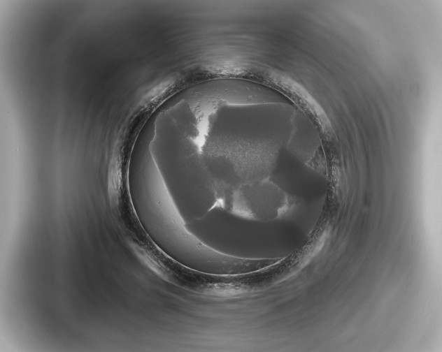 X0000087630541200705101029