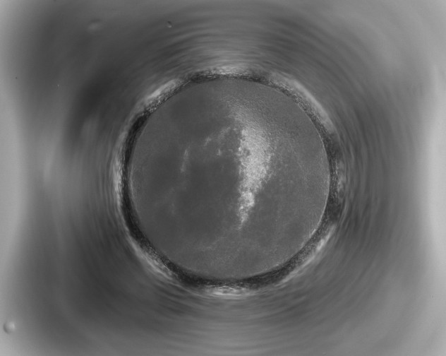 X0000087630542200705101029