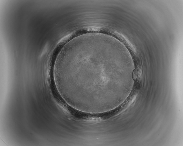 X0000087630543200705101029