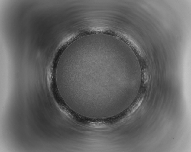 X0000087630544200705101029