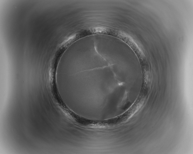 X0000087630545200705101029