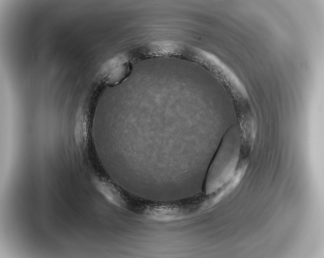 X0000087630546200705101030