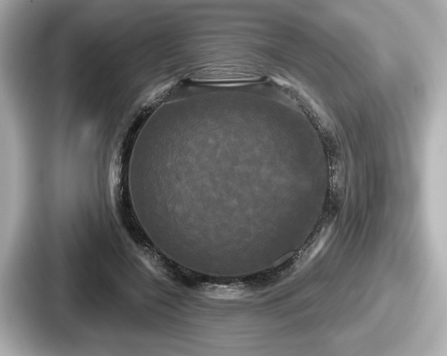 X0000087630548200705101030