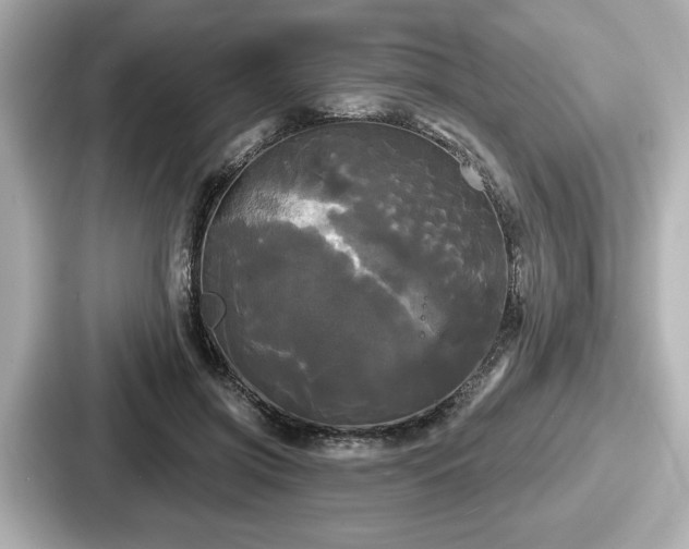 X0000087630549200705101030