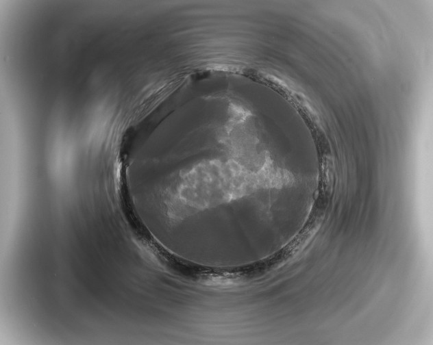 X0000087630550200705101030