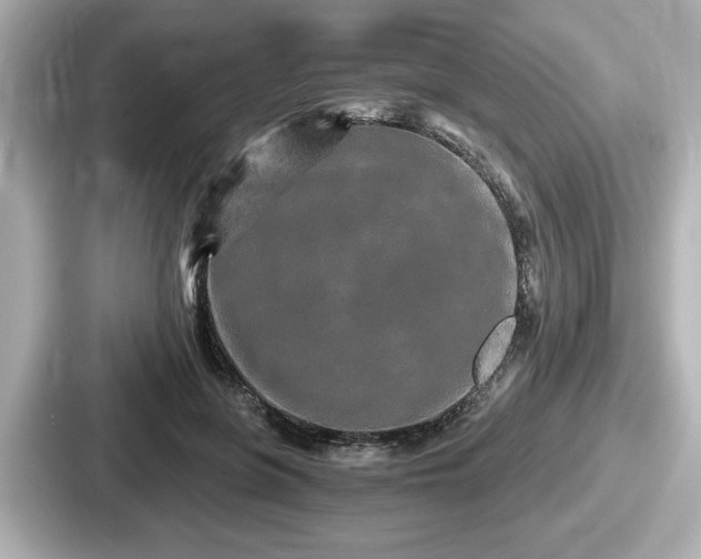 X0000087630551200705101030