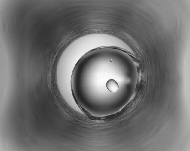 X0000087630552200705101030