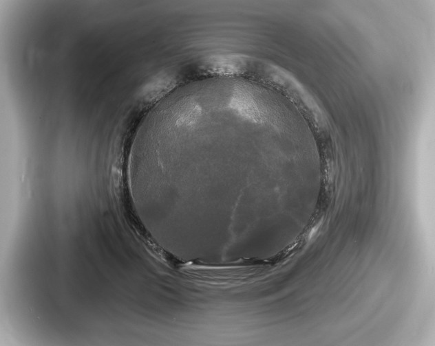 X0000087630553200705101030