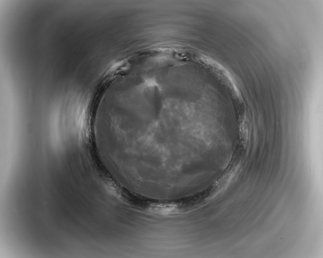 X0000087630554200705101030