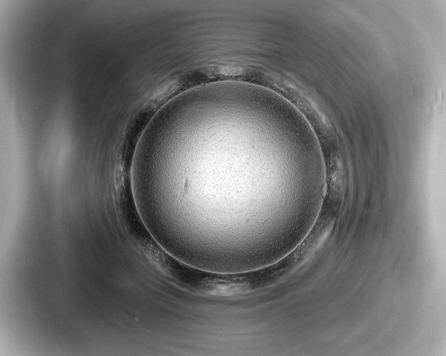 X0000087630555200705101030