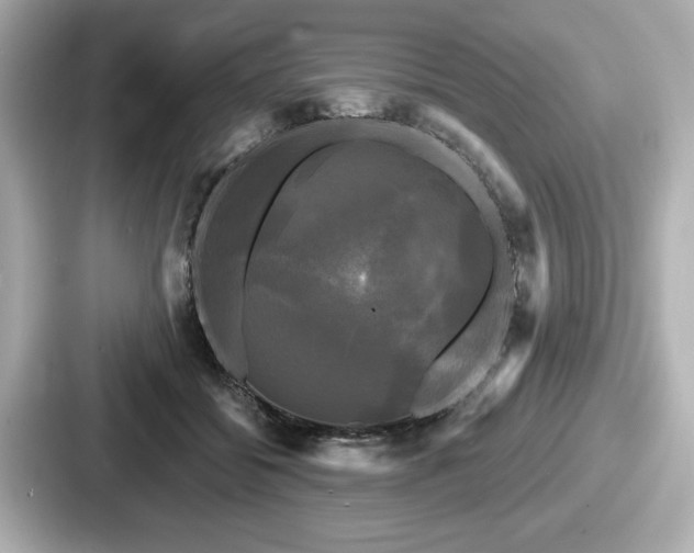 X0000087630556200705101030