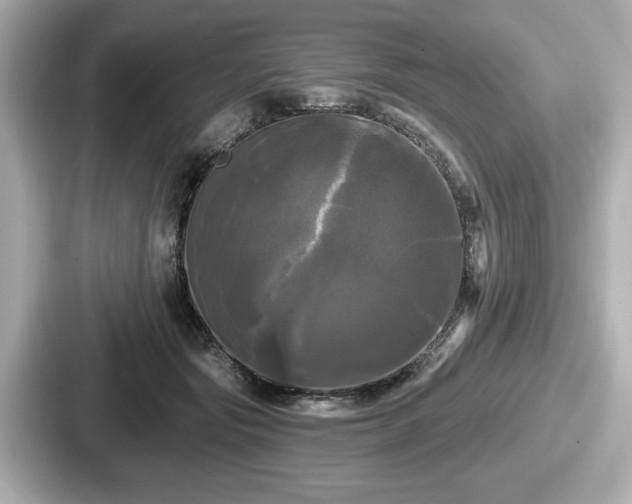 X0000087630557200705101030