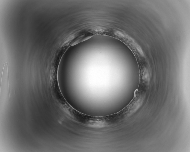 X0000087630559200705101030