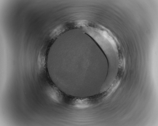 X0000087630560200705101030