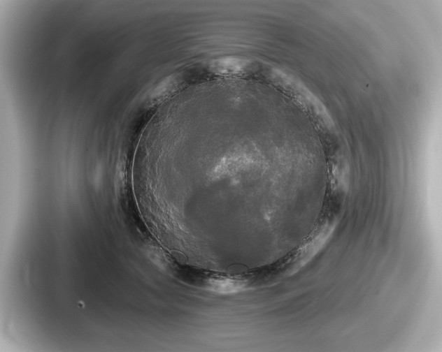 X0000087630561200705101030