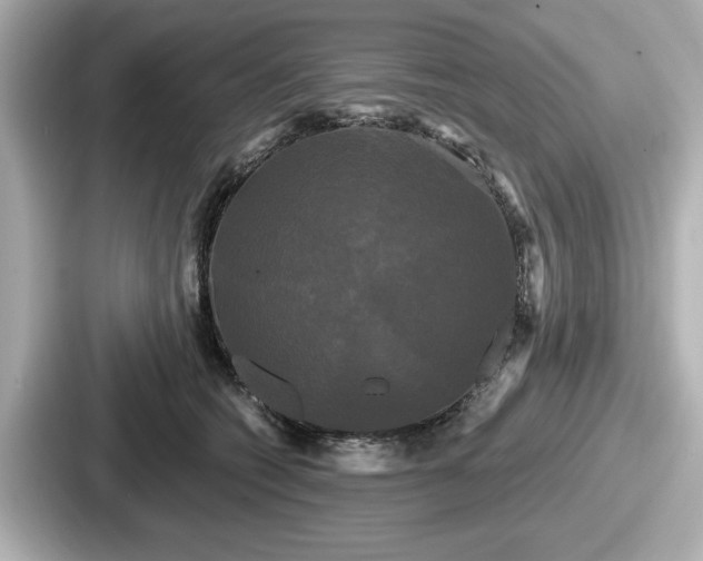 X0000087630562200705101030