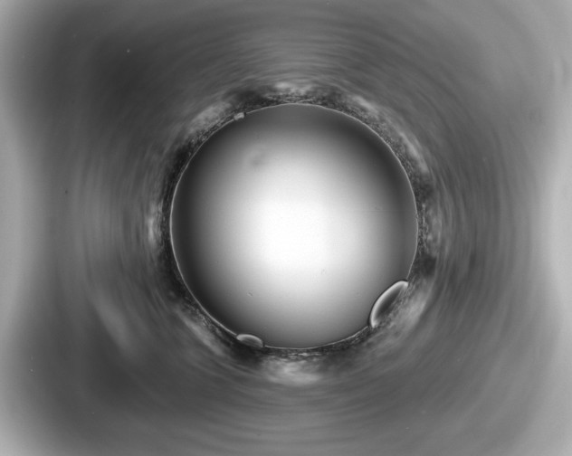 X0000087630563200705101030