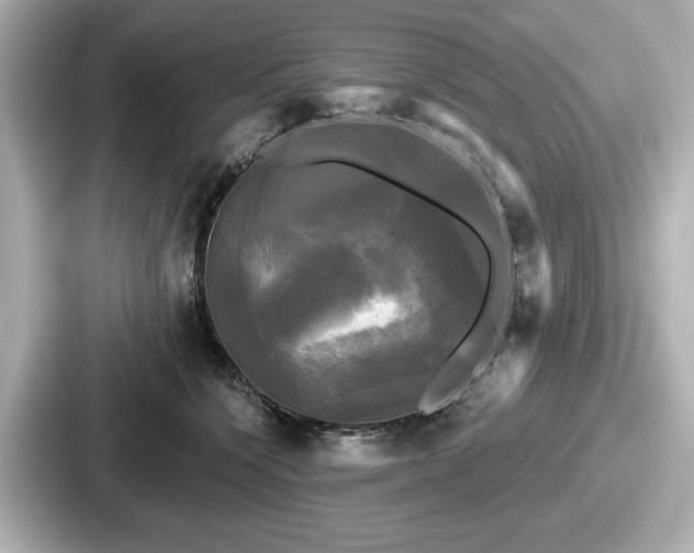 X0000087630564200705101030