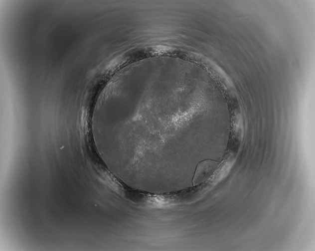 X0000087630565200705101030