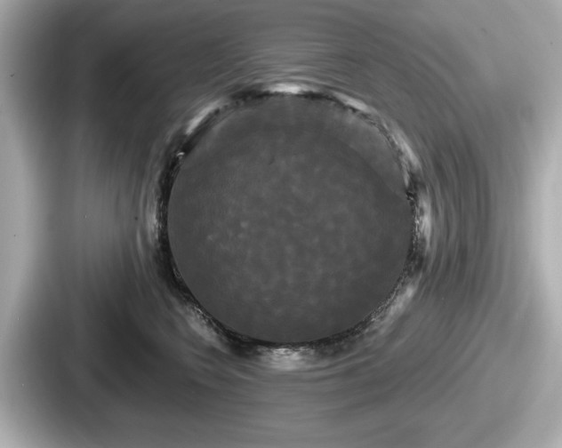 X0000087630566200705101030