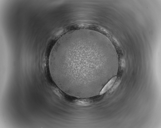 X0000087630567200705101030