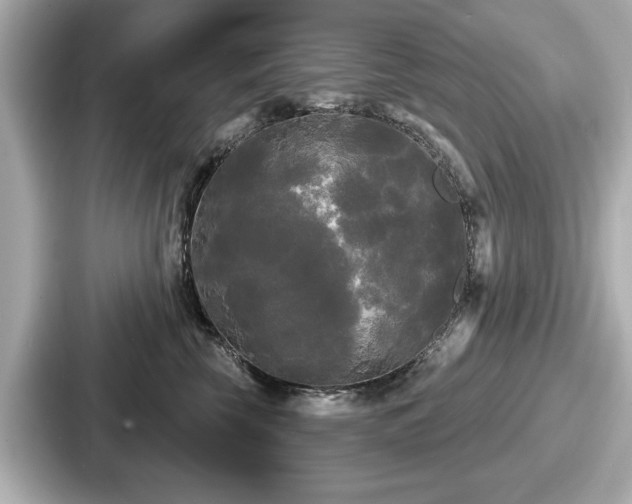 X0000087630569200705101030