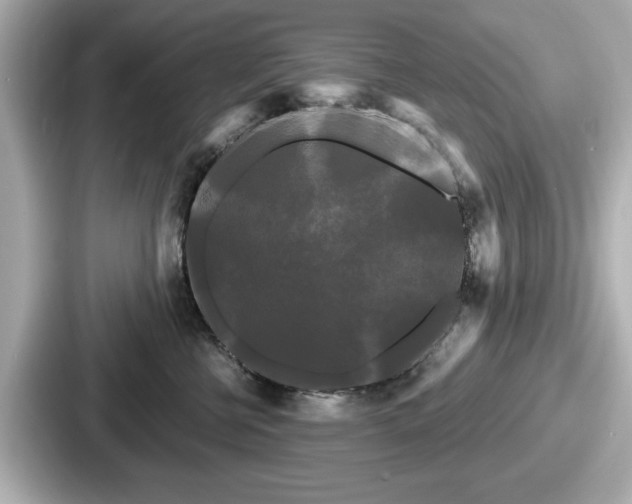 X0000087630570200705101030