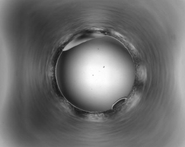 X0000087630571200705101030