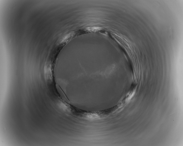 X0000087630572200705101030