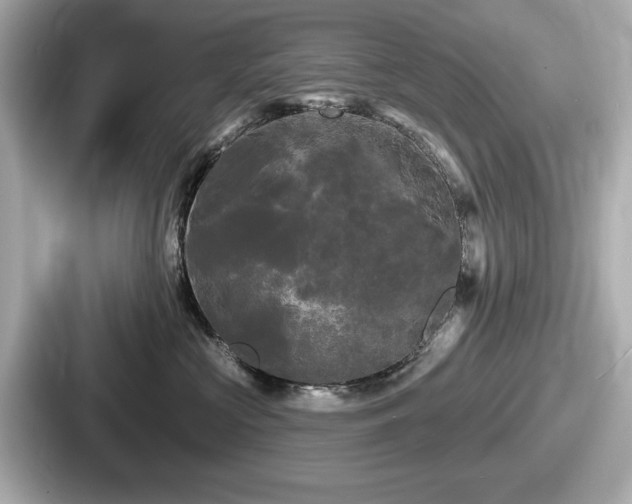 X0000087630573200705101030