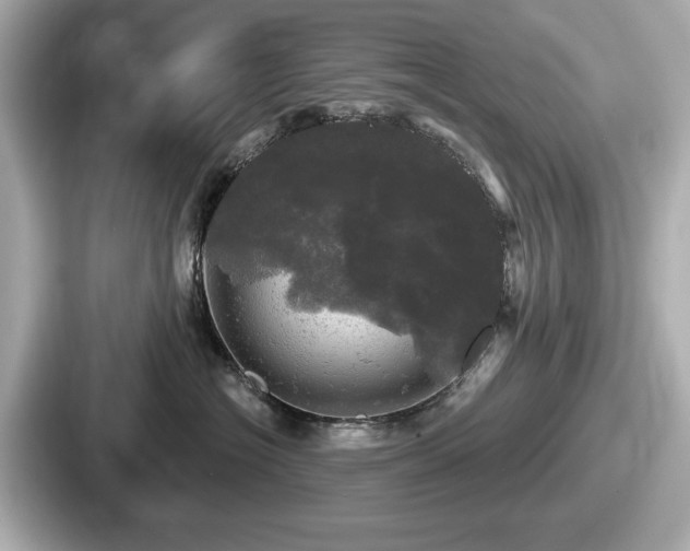 X0000087630574200705101030