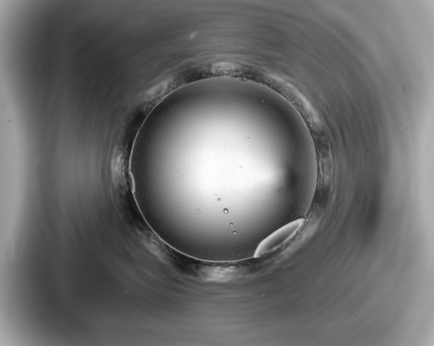 X0000087630575200705101030