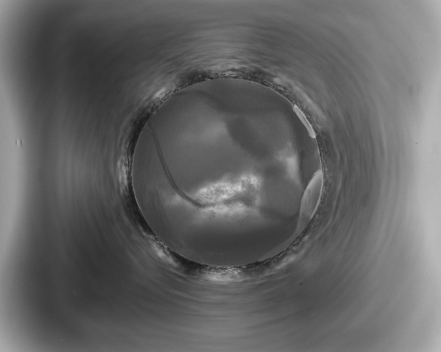 X0000087630576200705101030