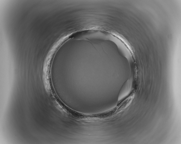 X0000087630577200705101029