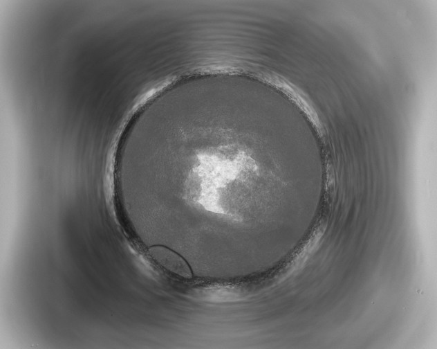 X0000087630578200705101029