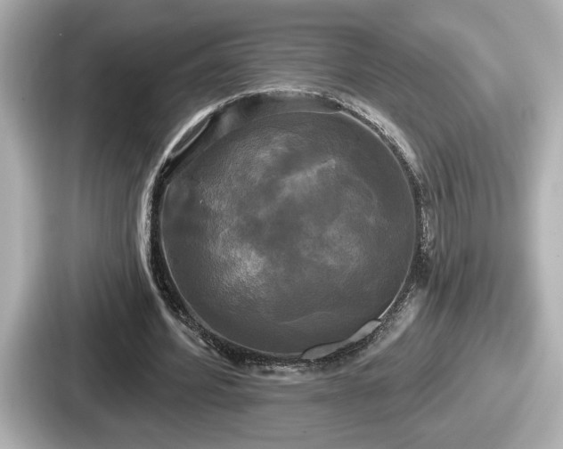 X0000087630580200705101029