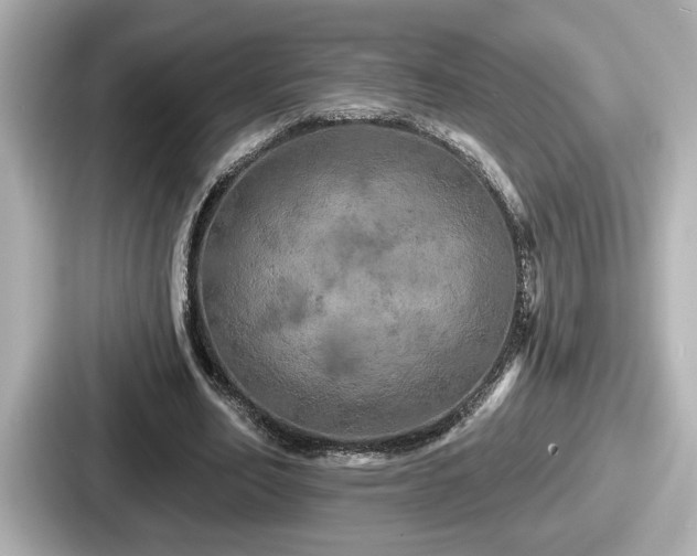 X0000087630582200705101029