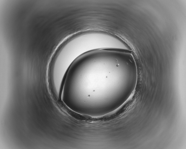 X0000087630584200705101029