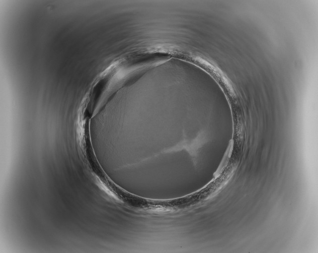 X0000087630585200705101029