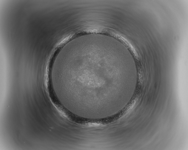 X0000087630586200705101029