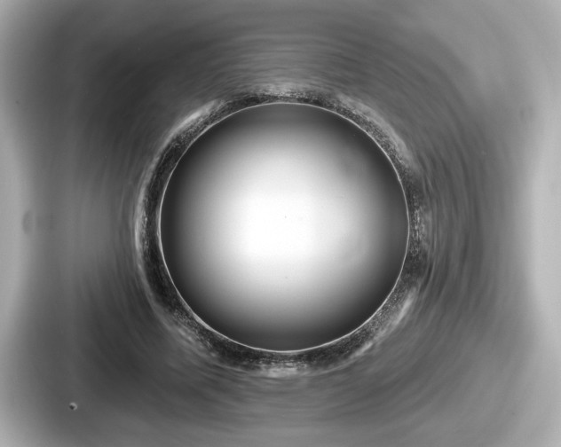 X0000087630587200705101029